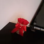 Family Time Apartment